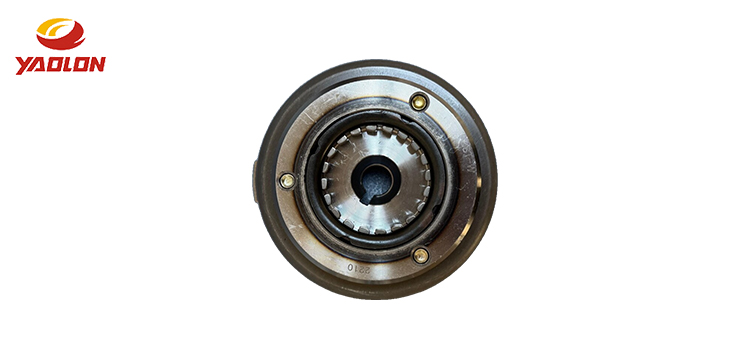 Magneto-motor rotor
