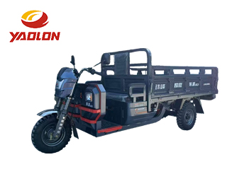 Electric Cargo Tricycle – HANPAI-D3