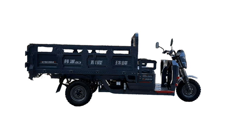 Electric Cargo Tricycle – HANPAI-D3