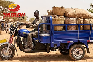 How a Tailored Motorized Tricycle Fleet Dominated the Senegalese Market