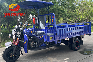 High-Capacity Wholesale Distribution Fleets Tailored for Congo
